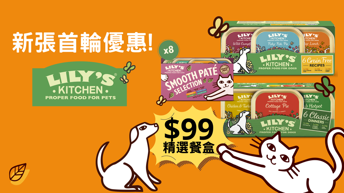 新張首輪優惠!