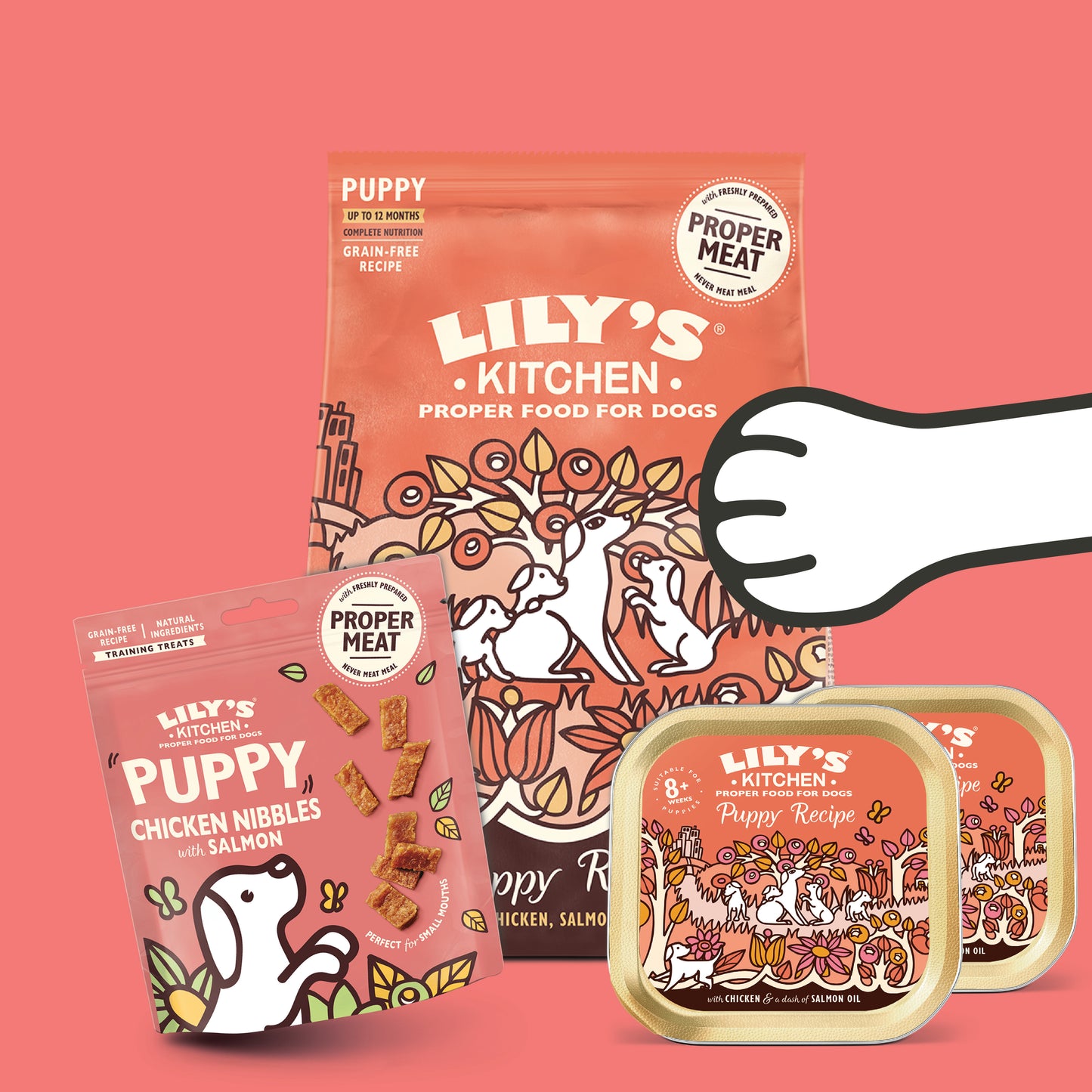 Lily's Kitchen 幼犬體驗套裝