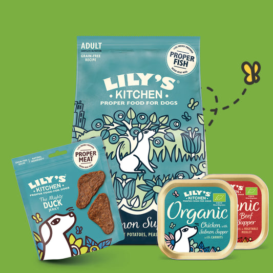 Lily's Kitchen 成犬體驗套裝