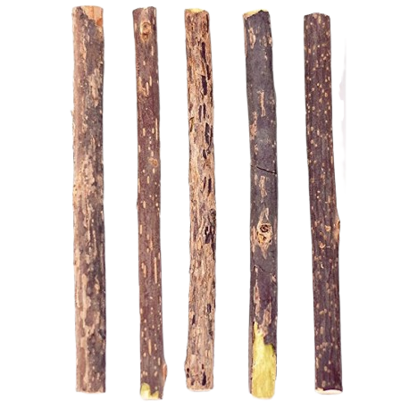 From the Field - 天然木天蓼小逗棒